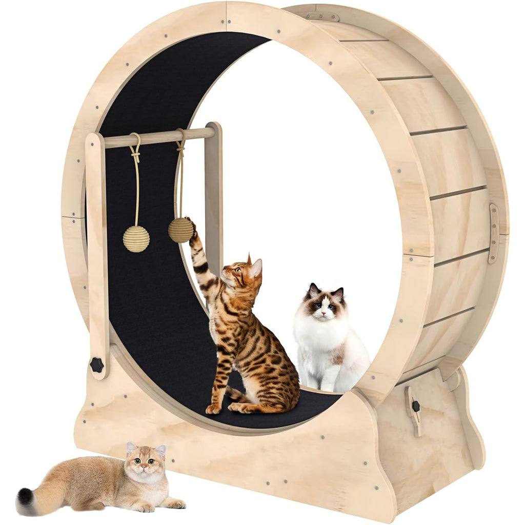 Hot Selling High Quality Interactive Cat Exercise Wheel Funny Sustainable Cat Teaser Treadmill Track Today's Trending Hot Item