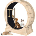 Hot Selling High Quality Interactive Cat Exercise Wheel Funny Sustainable Cat Teaser Treadmill Track Today's Trending Hot Item