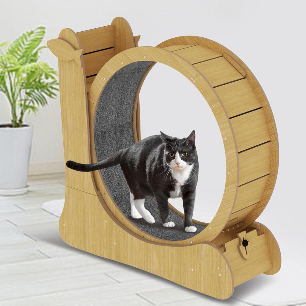 High Silent Indoor Cat Exercise Wheel Wooden Sports Scratcher Treadmill Shock Absorber Pet Interactive Movement Toy