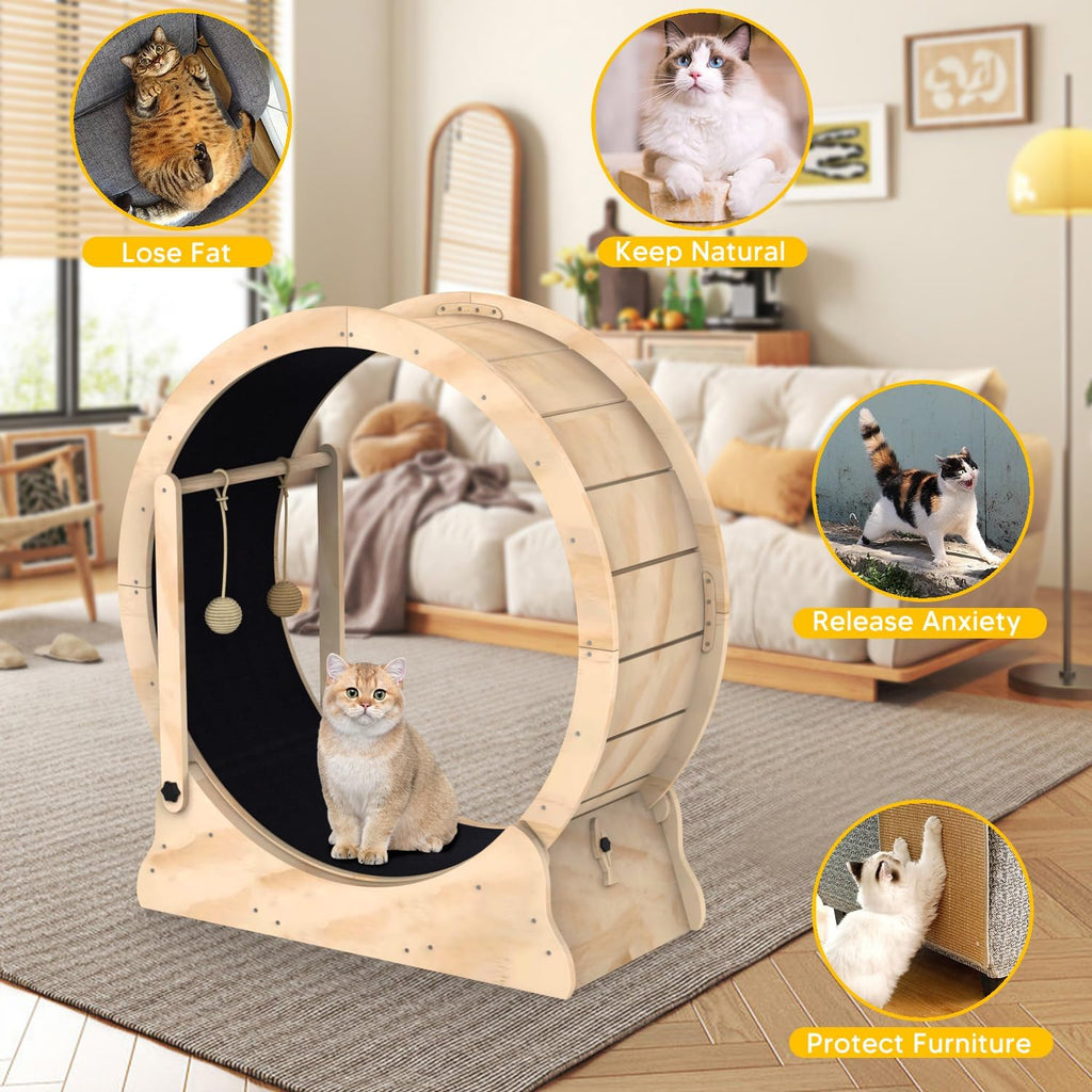 Hot Selling High Quality Interactive Cat Exercise Wheel Funny Sustainable Cat Teaser Treadmill Track Today's Trending Hot Item