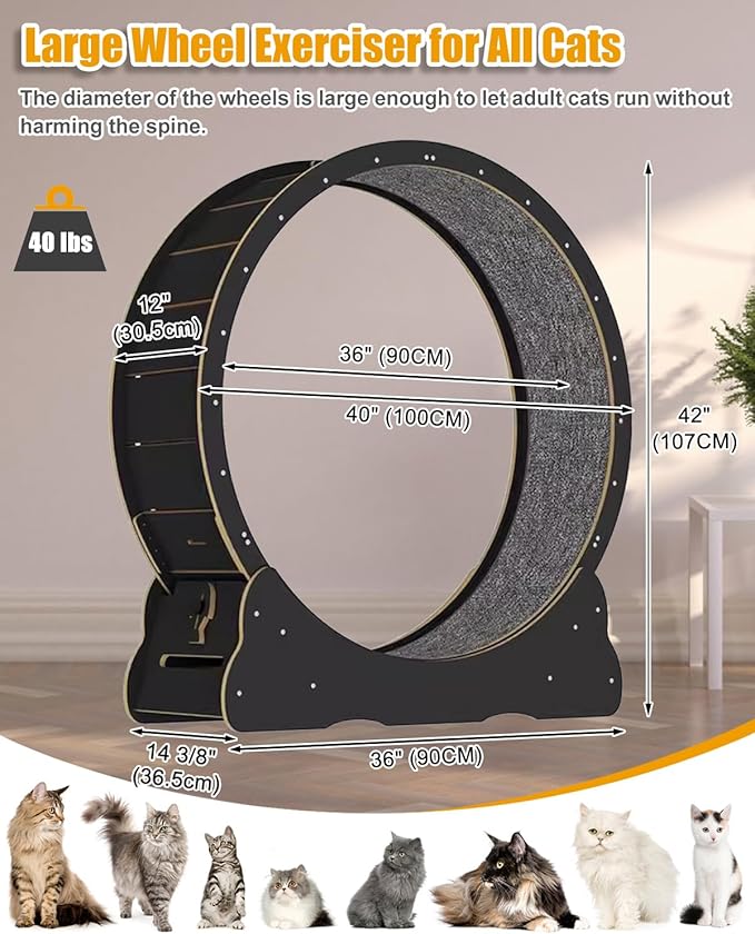 Solid Wood Waterproof Indoor Cat Exercise Wheel Device Large Safety Running Machine Minimal Gap Design Pet Agility Training